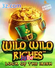 jgbr slot wild wild riches